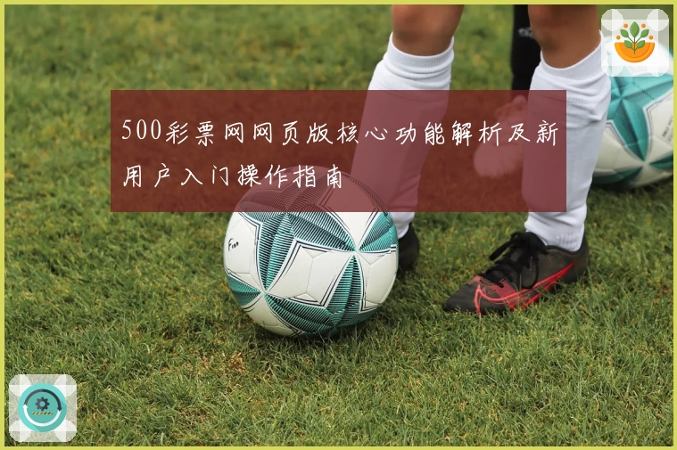 500彩票网网页版核心功能解析及新用户入门操作指南